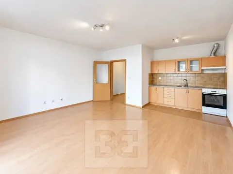 Pronájem bytu 1+kk, Liberec, Ořechová, 42 m2