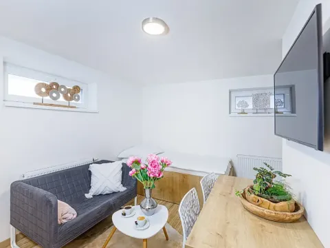 Pronájem bytu 1+kk, Zlín, Vejvanovská, 20 m2