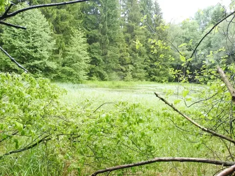 Dražba pozemku, Číměř, 7409 m2
