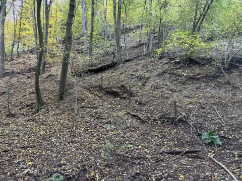 Prodej pozemku pro bydlení, Štěchovice, 852 m2